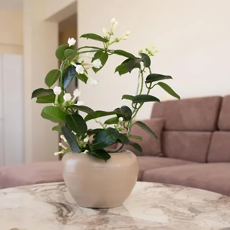 شقة Jasmine - Peaceful 2-br Retreat In *